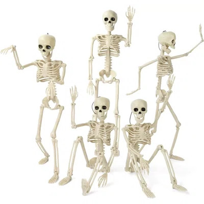 5pack Halloween Skeleton Decorations 16in Full Body Mini Skeleton Movable Props | Wayfair North America