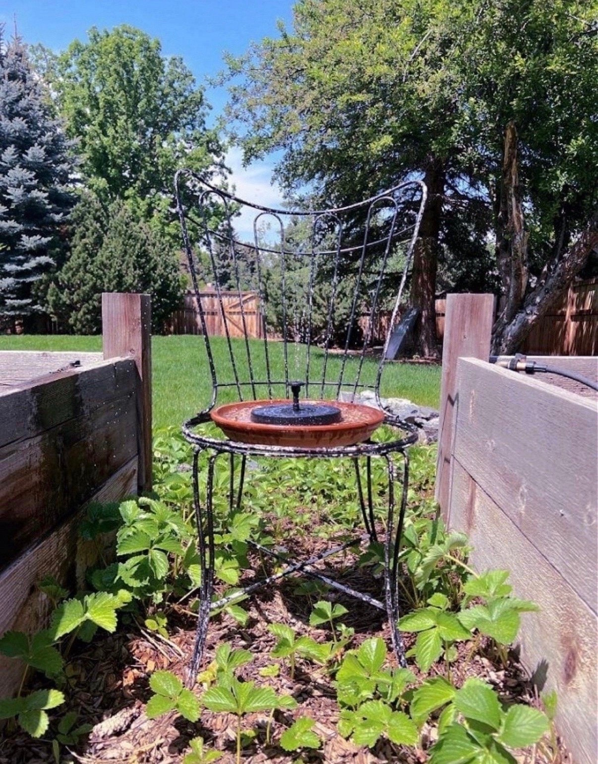 I’ve been in full garden planning mode lately and one of my favorite features is a solar fountain ⛲️ I love how something so simple can make the whole space feel calmer and more alive!

#LTKSeasonal #LTKSaleAlert #LTKHome