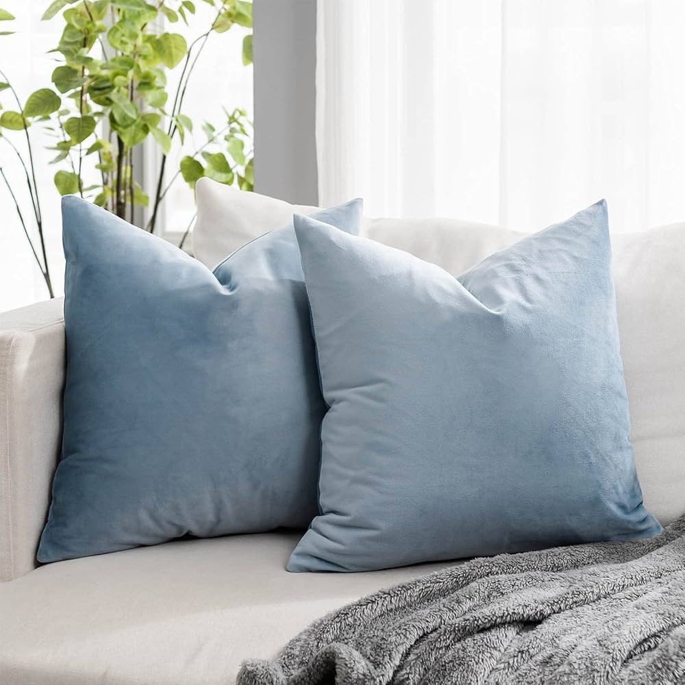 QUAFOO Light Blue Soft Velvet Throw Pillow Covers 24x24 inch Set of 2 for Sofa Couch Bed Living R... | Amazon (US)