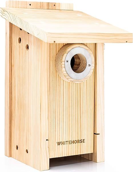 Premium Cedar Bird House - Weatherproof Design with a 15 sq inch Floor - A Bluebird Box House Bui... | Amazon (US)