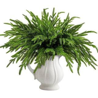 19 in. Green Christmas Norfolk Pine Branches Stem (10-Pieces) YYDSFQY - The Home Depot | The Home Depot