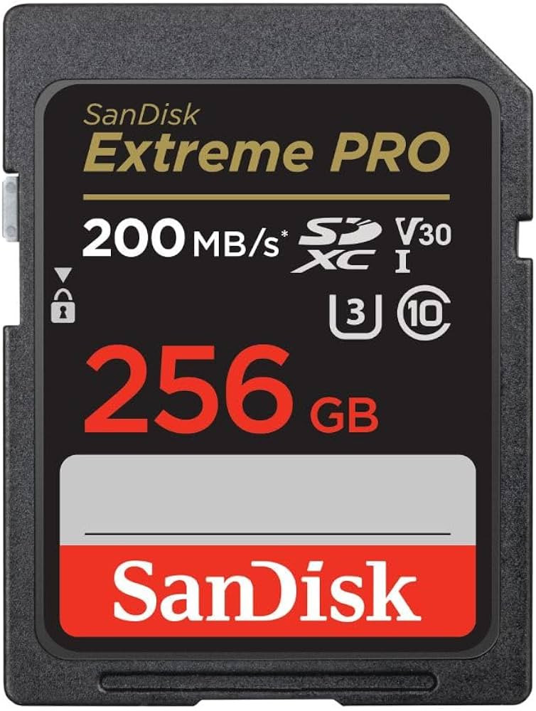 SanDisk 256GB Extreme PRO SDXC UHS-I Memory Card - C10, U3, V30, 4K UHD, SD Card - SDSDXXD-256G-G... | Amazon (US)
