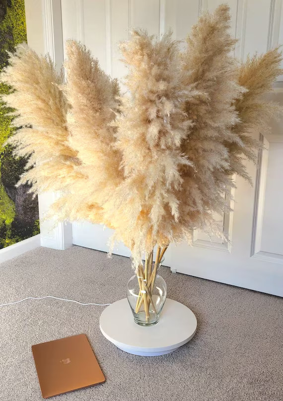 TALL PAMPAS GRASS 4ft | Grand Sale | Dry Florals For Home Decor | Boho Decor | Wedding Arch | Flo... | Etsy (US)