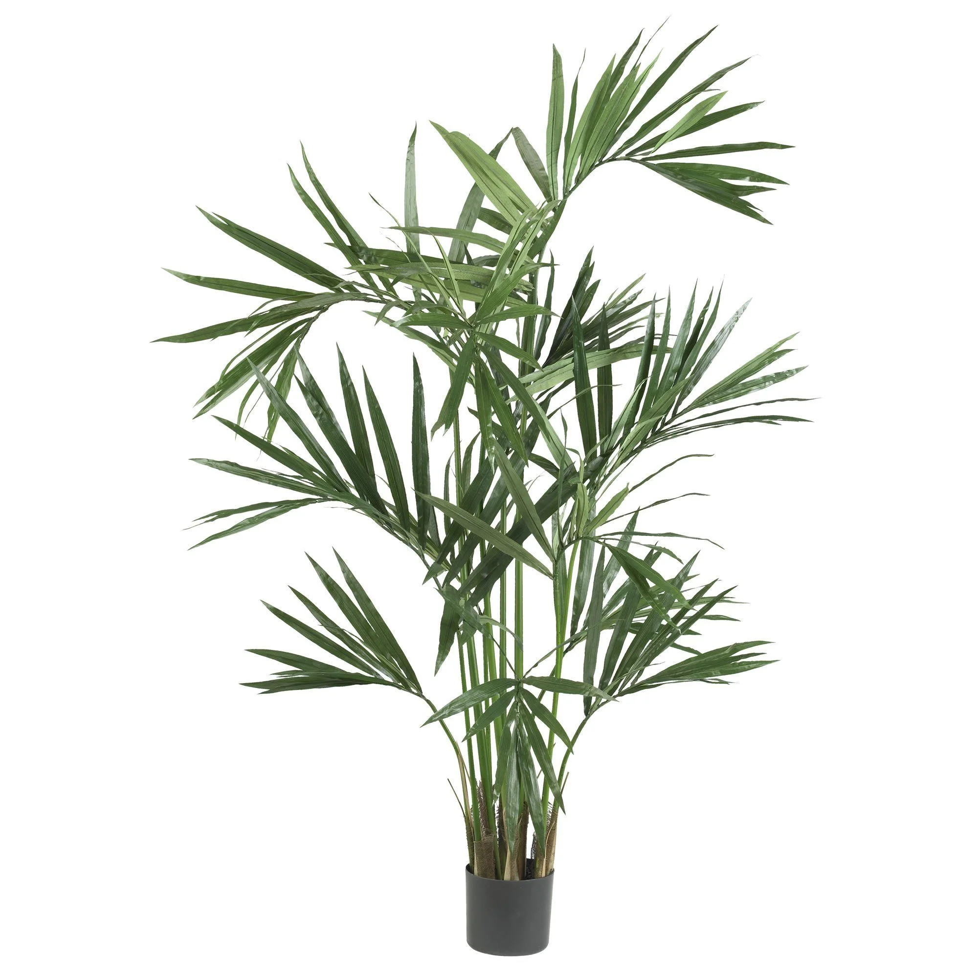 6' Kentia Palm Silk Tree | Nearly Natural | Nearly Natural