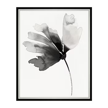 17X20 Orpheus Petals I Wall Art | JCPenney