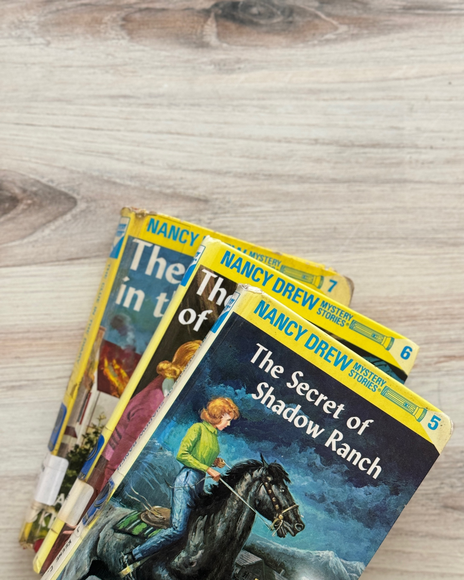 An addicting mystery chapter book series for grades 4-6!