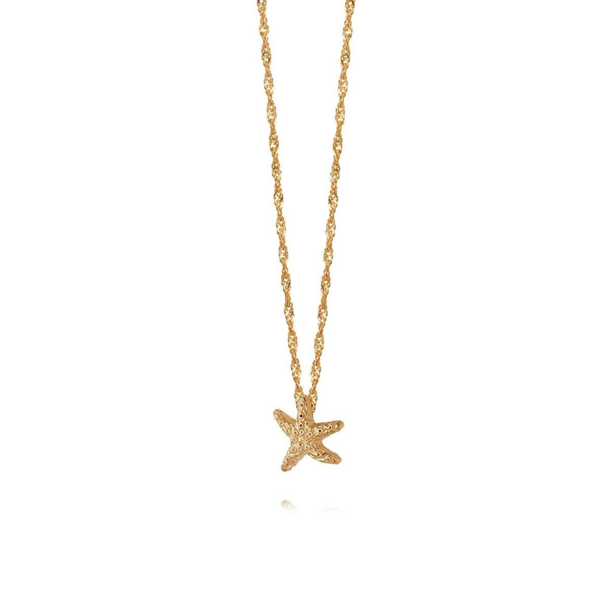 Isla  Starfish Chain Necklace 18Ct Gold Plate | Daisy London Jewellery