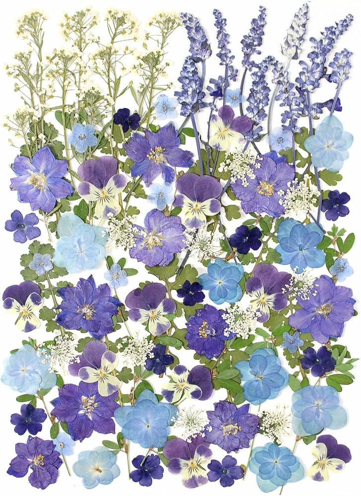 100 PCS Real Dried Pressed Flowers Leaves Natural Plant Herbarium for DIY Resin Mold Jewelry Maki... | Amazon (US)