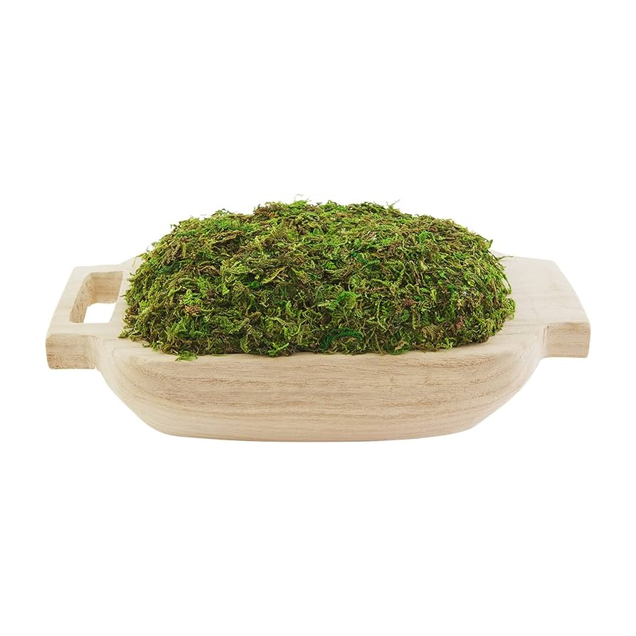 Mud Pie Preserved Moss Handle Paulownia Pot, Natural, 9" x 17" | Amazon (US)
