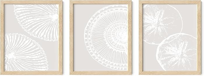 Summit Designs Seashell Wall Art Set of 3-8x10 inch Neutral Beige Coastal Prints - Beach Shell Ph... | Amazon (US)
