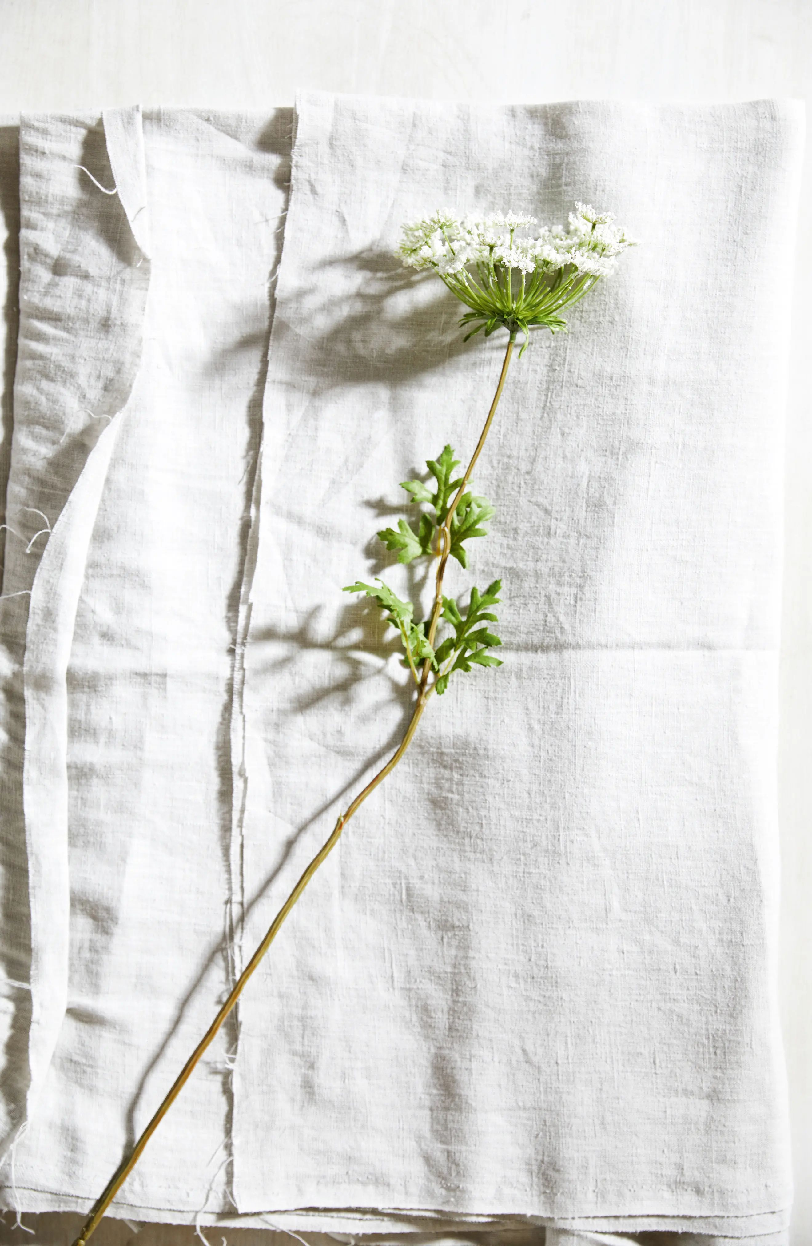 The White Company Queen Anne Lace Faux Flower Stem | Nordstrom