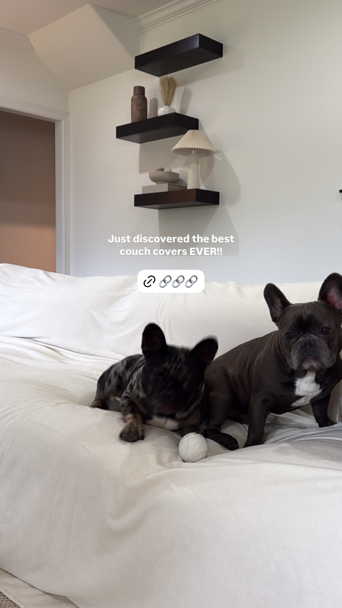 Just discovered the best couch covers EVER!!