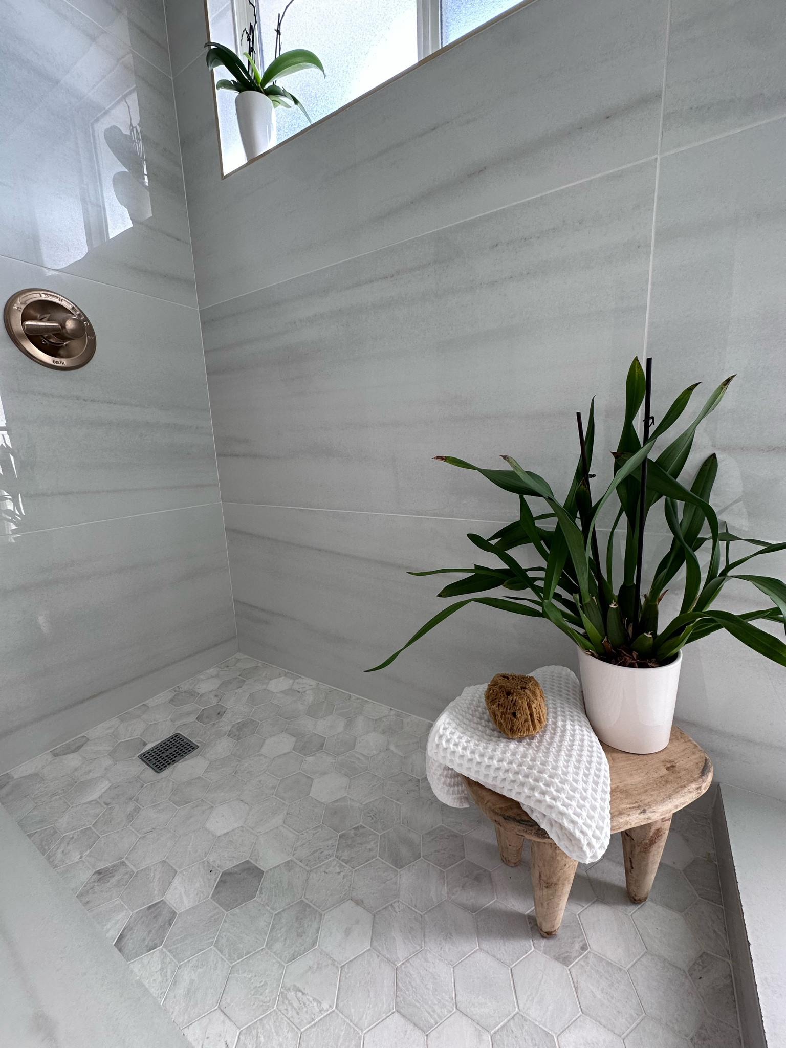 🌱 

#LTKFindsUnder50 #LTKStyleTip #LTKHome