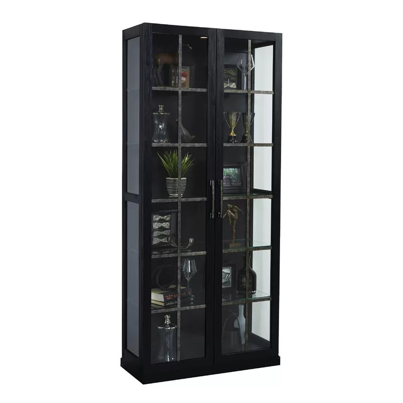 Giovanny Lighted Curio Cabinet | Wayfair Professional