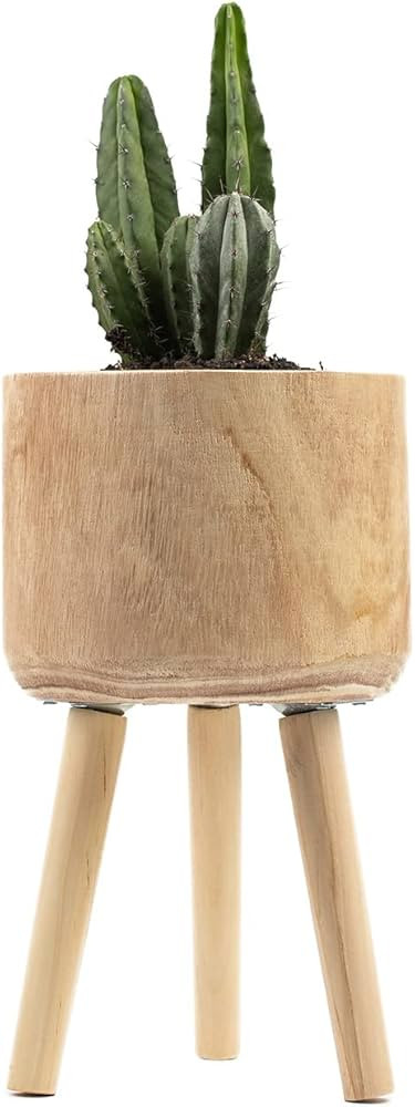 Wooden Plant Pots, Standing with Three Legs 7.8 Inch, Planter Pot for Indoor Plants and Flowers, ... | Amazon (US)