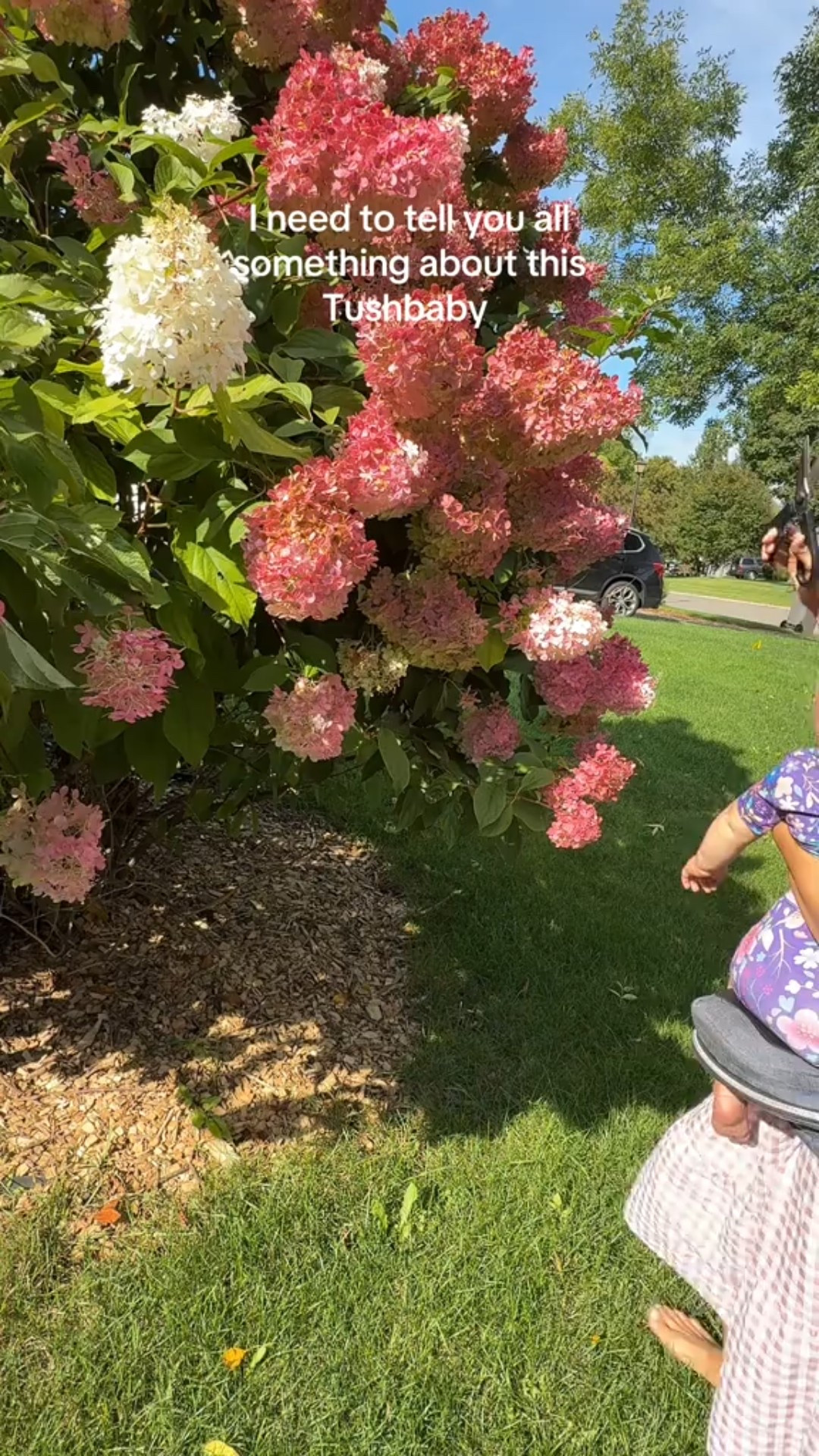 I have purchased two of them because I wear these carriers for hours every day.

They literally save my back as a mom with a toddler and baby that both like to be held.
Currently there is a sale going on for some of the @tushbaby products and if you stack my code ‘KELLEYMOM’ you can literally get one of these for less than $50. I promise you, this deal doesn’t happen often!

🔗 in my bio and use code KELLEYMOM at checkout.
#tushbaby #tushbabycarrier #hipseat #hipseatcarrier #babycarrier 

#LTKBaby #LTKFamily #LTKBump