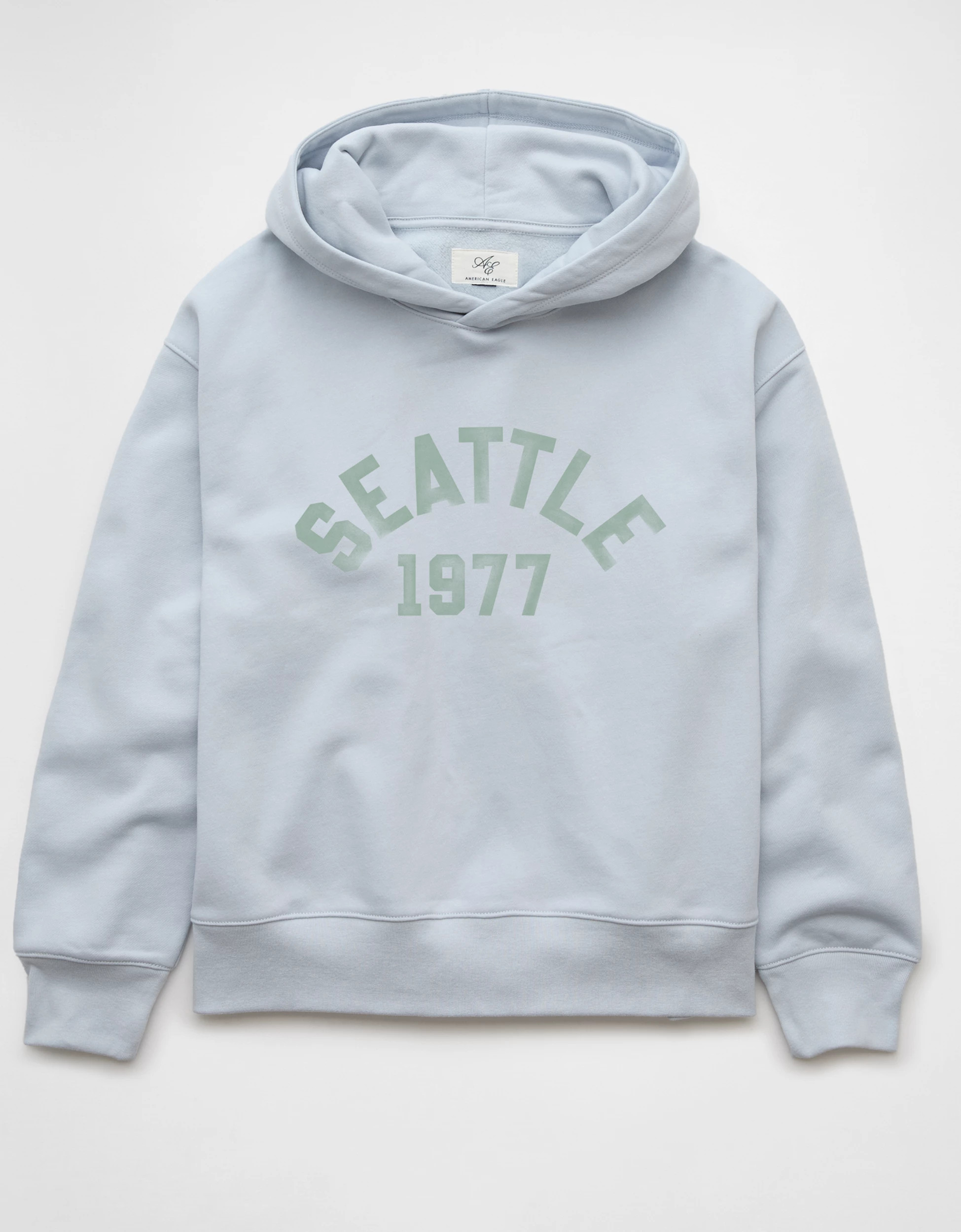 AE Everyday Luxe Graphic Hoodie | American Eagle Outfitters (US & CA)