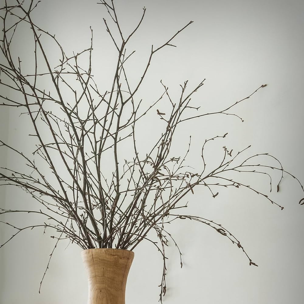 40 Pcs 31" Real Birch Branches for Tall Vases Long Natural Tree Branches for Decorations Decorati... | Amazon (US)