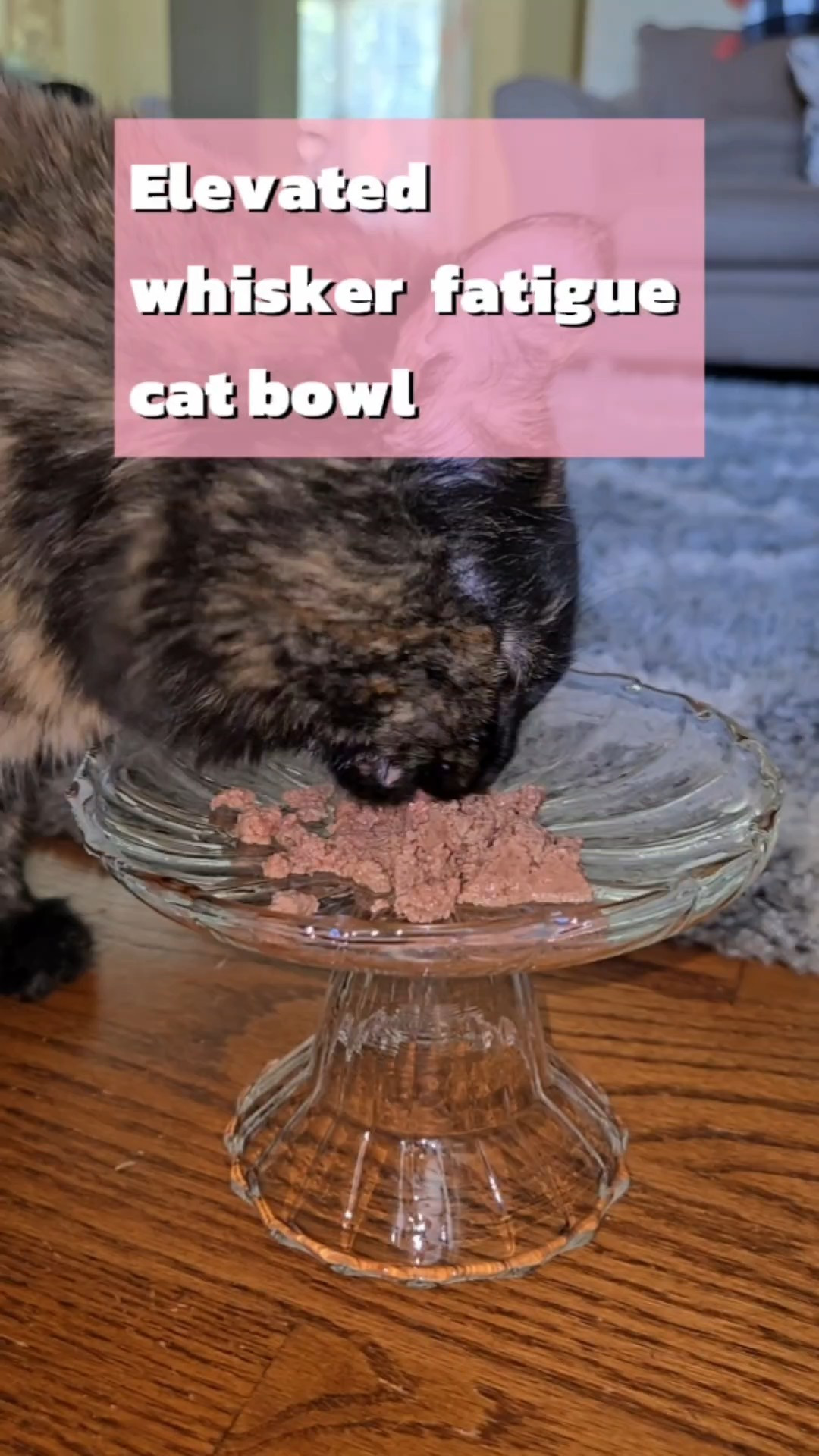 Kitty-approved and 🛍️ No more whisker stress — just happy snack time 😼

#LTKHome #LTKPets #LTKFamily