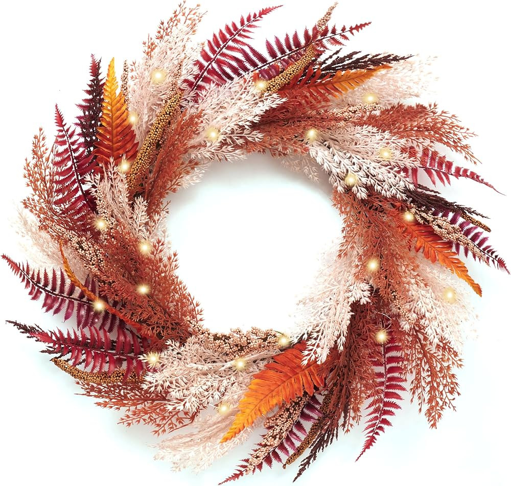 DecorbyHannah Collapsible Fall Wreath, 24'' Pre-Lit Artificial Pampas Grass Wreath for Front Door... | Amazon (US)
