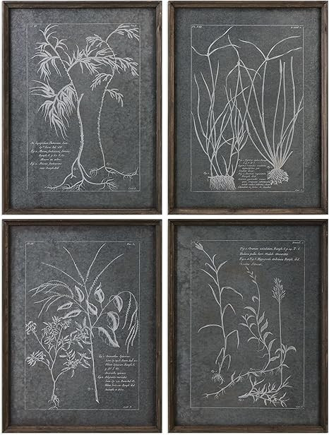 Gray Silver Botanical Plant Wall Art Set | Rustic Industrial Vintage Style | Amazon (US)