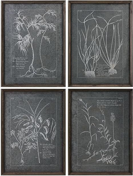 Gray Silver Botanical Plant Wall Art Set | Rustic Industrial Vintage Style | Amazon (US)