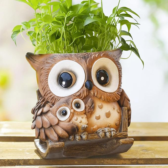 Saysmile Unique Owl Plant Pots Indoor, Cute Small Succulent Pots with Drainage Hole, Rocking Chai... | Amazon (US)