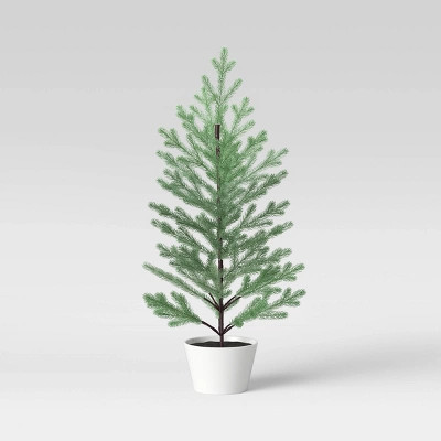 36" Blue Spruce Tree in a Pot - Threshold™ | Target