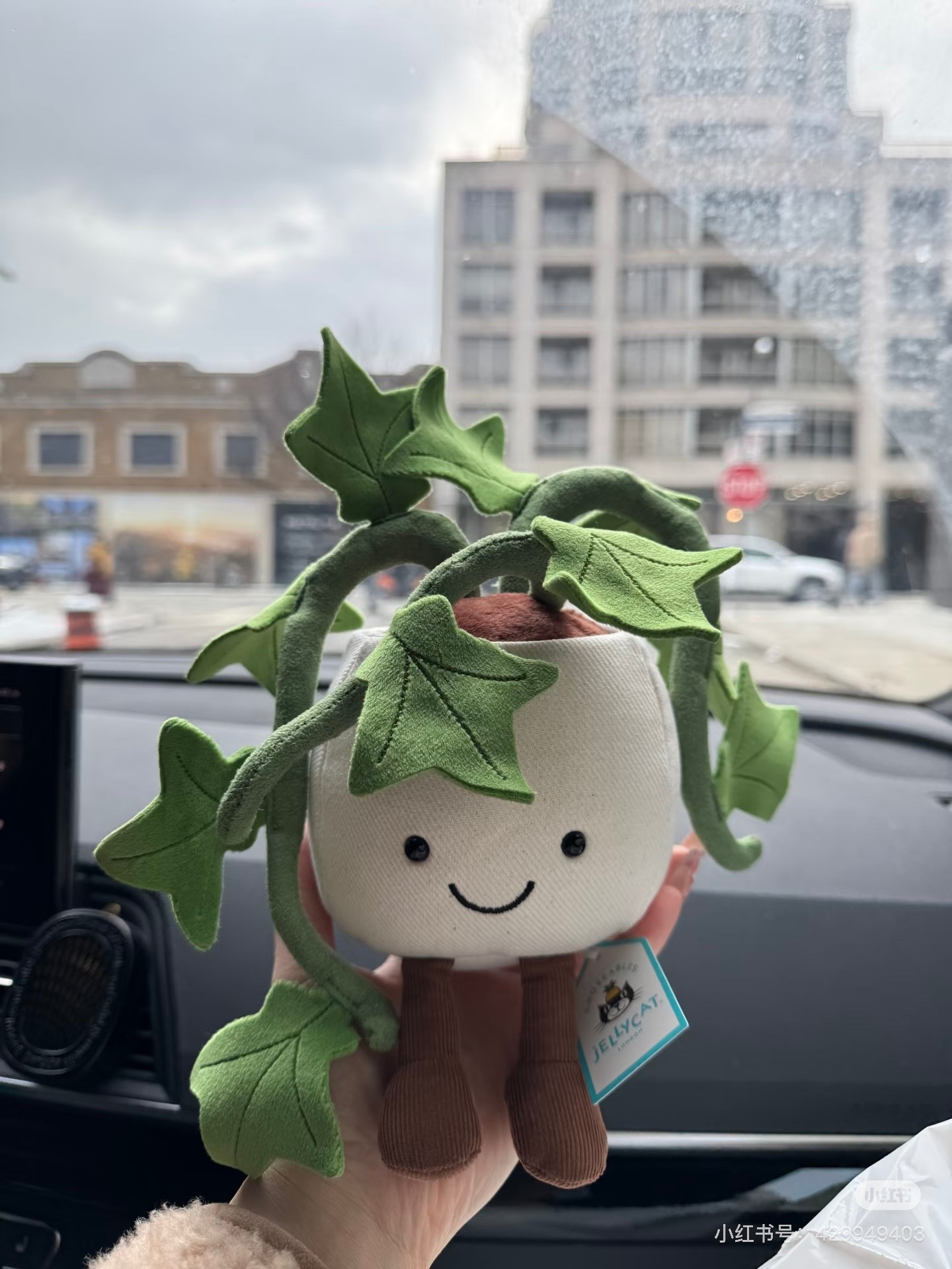 🌿 Obsessed with this Jellycat ivy plant — it’s giving cozy home energy without the maintenance 🤍

The soft trailing leaves + cute little face = the perfect mix of decor + plush
Literally the easiest way to make any space feel styled and warm ✨

• perfect for shelves, entry tables, coffee bars
• kid-friendly + no mess
• great gift idea (housewarming / baby / plant lovers 🌱)

💡 Looks SO good paired with neutral tones, wood textures, or layered with books + candles

$60 + free shipping over $75 ✔️

#LTKHome #Jellycat #HomeDecorFinds #CozyAesthetic #ShelfStyling #GiftIdeas #NeutralHome #AestheticDecor