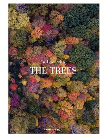 In Love With The Trees: Coffee Table Book About Trees (Edition: Autumn): Large 8.25x11 Inches, Co... | Amazon (US)