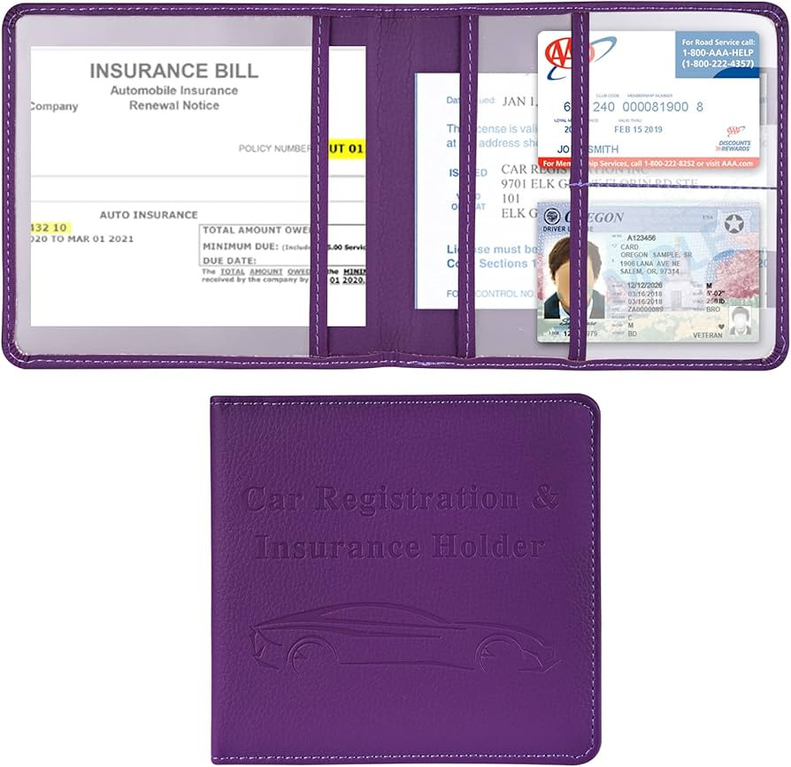 Cacturism Car Registration and Insurance Holder, Vehicle Glove Box Car Organizer Men Women Wallet... | Amazon (US)