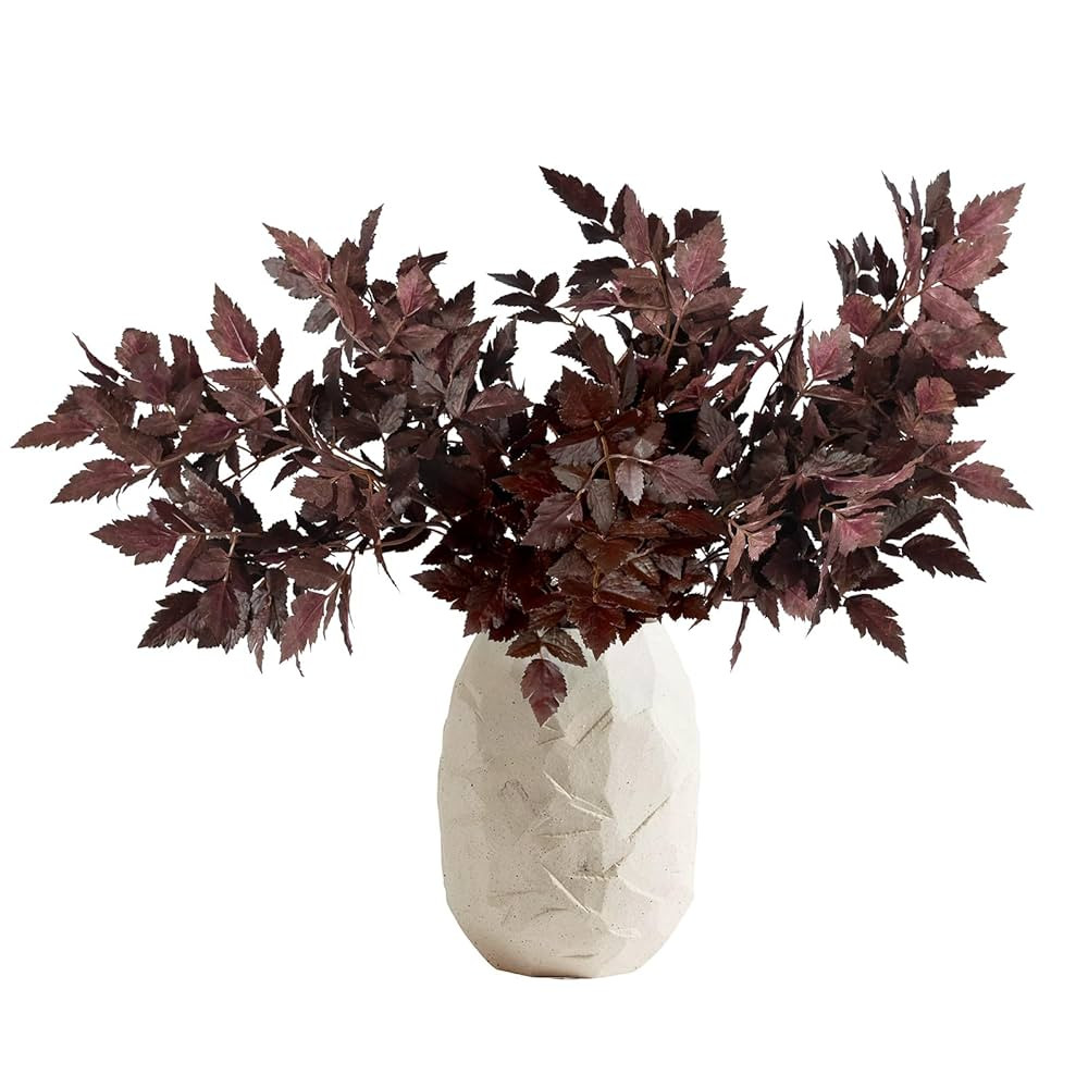 WBHome 6 Pack Artificial Cimicifuga Plant Leaf Spray Faux Plum Cimicifuga Ramosa Leaf Branch (24 ... | Amazon (CA)