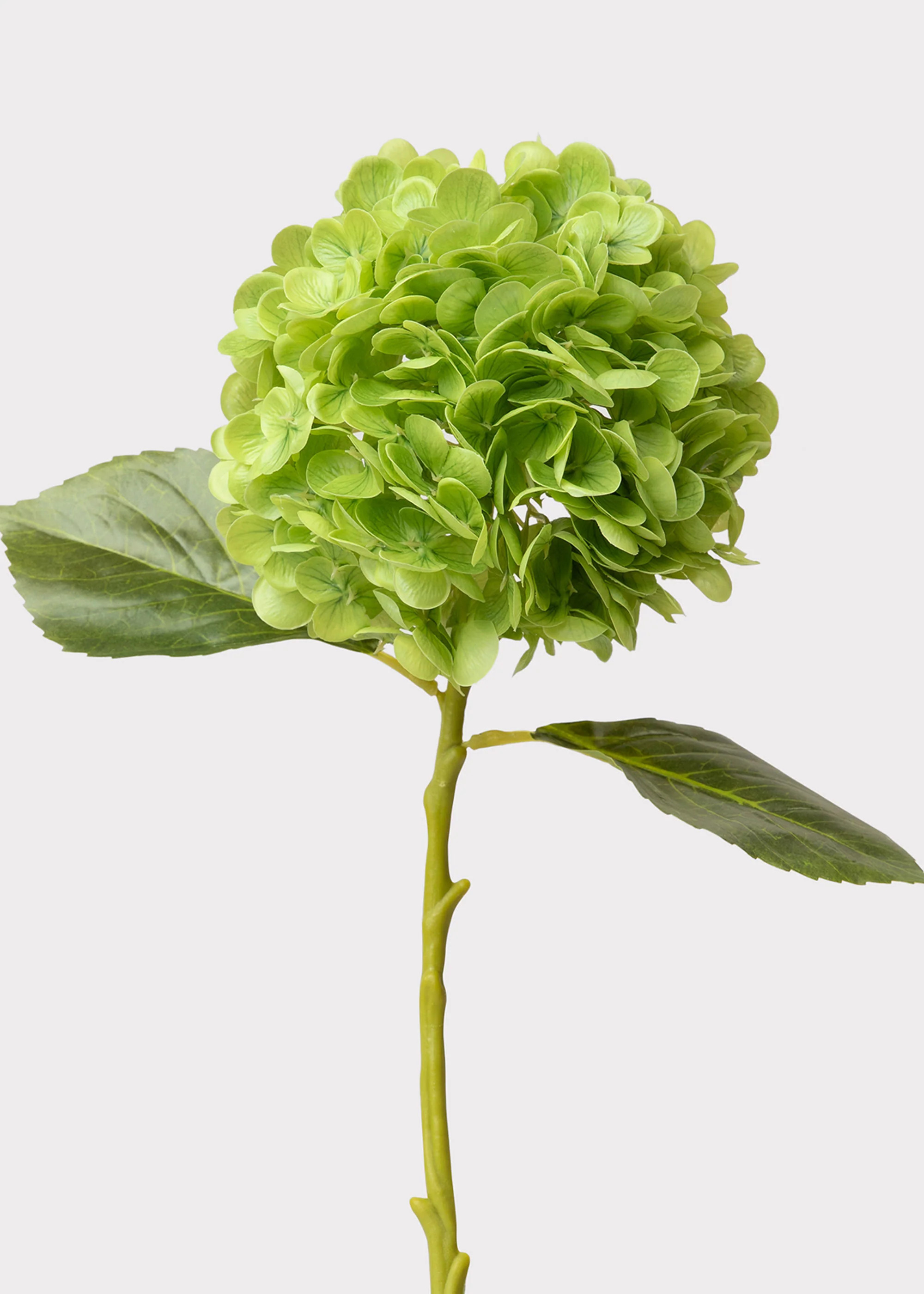Hydrangea Real Touch Fake Flower in Green - 18.5 | Afloral