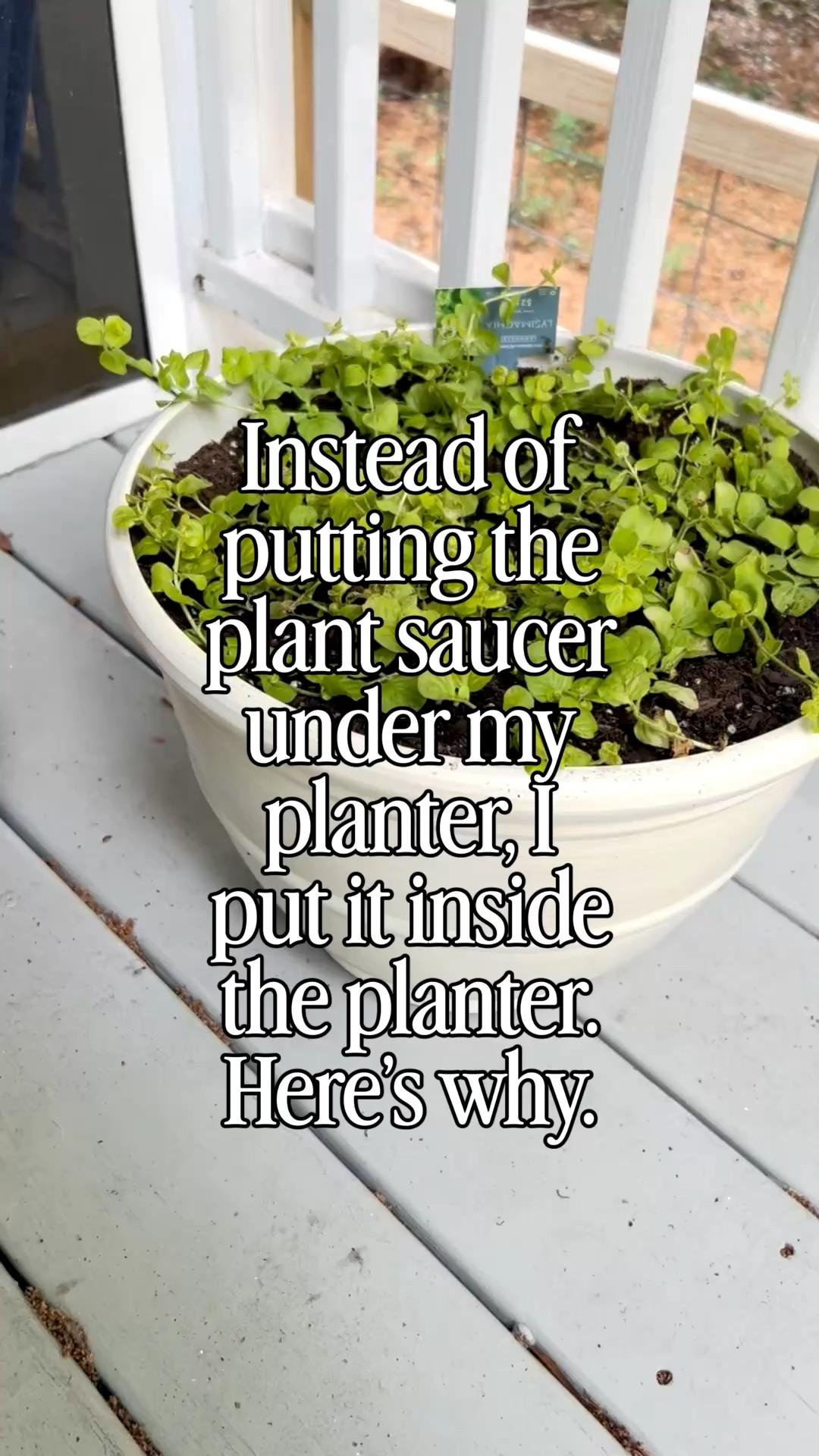 Want the look of a large planter without spending a fortune on potting soil?

Instead of filling the entire planter with soil, I placed a plastic plant saucer inside the planter about halfway down and drilled several drainage holes in it.

The saucer acts as a false bottom, so I only needed enough soil for the top portion where the plant’s roots will actually grow.

✅ Uses less potting soil
✅ Makes the planter lighter to move
✅ Saves money
✅ Still gives you the look of a large statement planter

Such a simple hack if you’re decorating with oversized planters! 🙌 #walmart #walmarthome #gardening #gardeninghacks

#LTKHome #LTKSeasonal #LTKstorytime