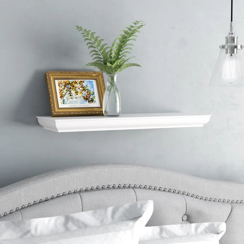 Adalyn Floating Shelf | Wayfair North America