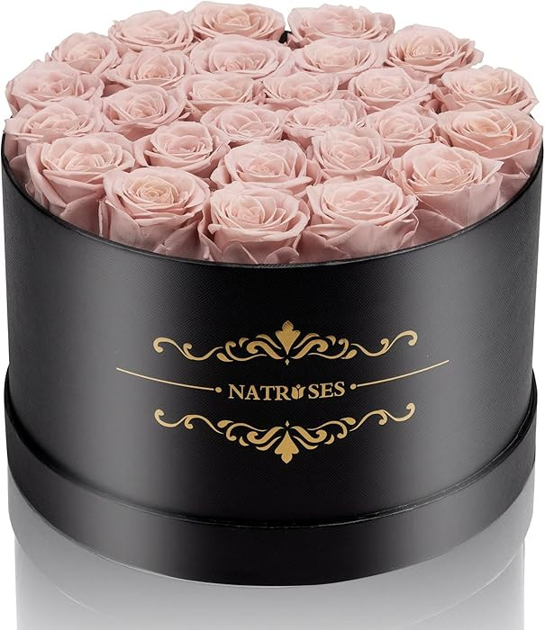 NATROSES 27 Piece Forever Preserved Roses in a Box, Preserved Flowers for Delivery Birthday, Flow... | Amazon (US)