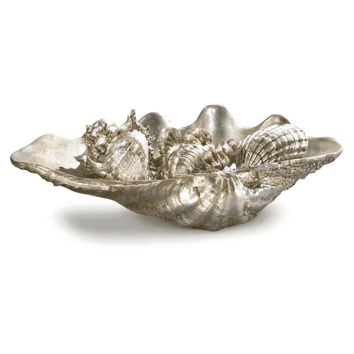 Clam Shell with Small Shells | Burke Decor
