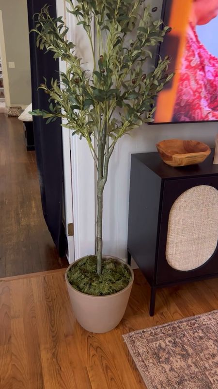 Faux olive tree from amazon! 

#LTKhome #LTKstyletip #LTKFind