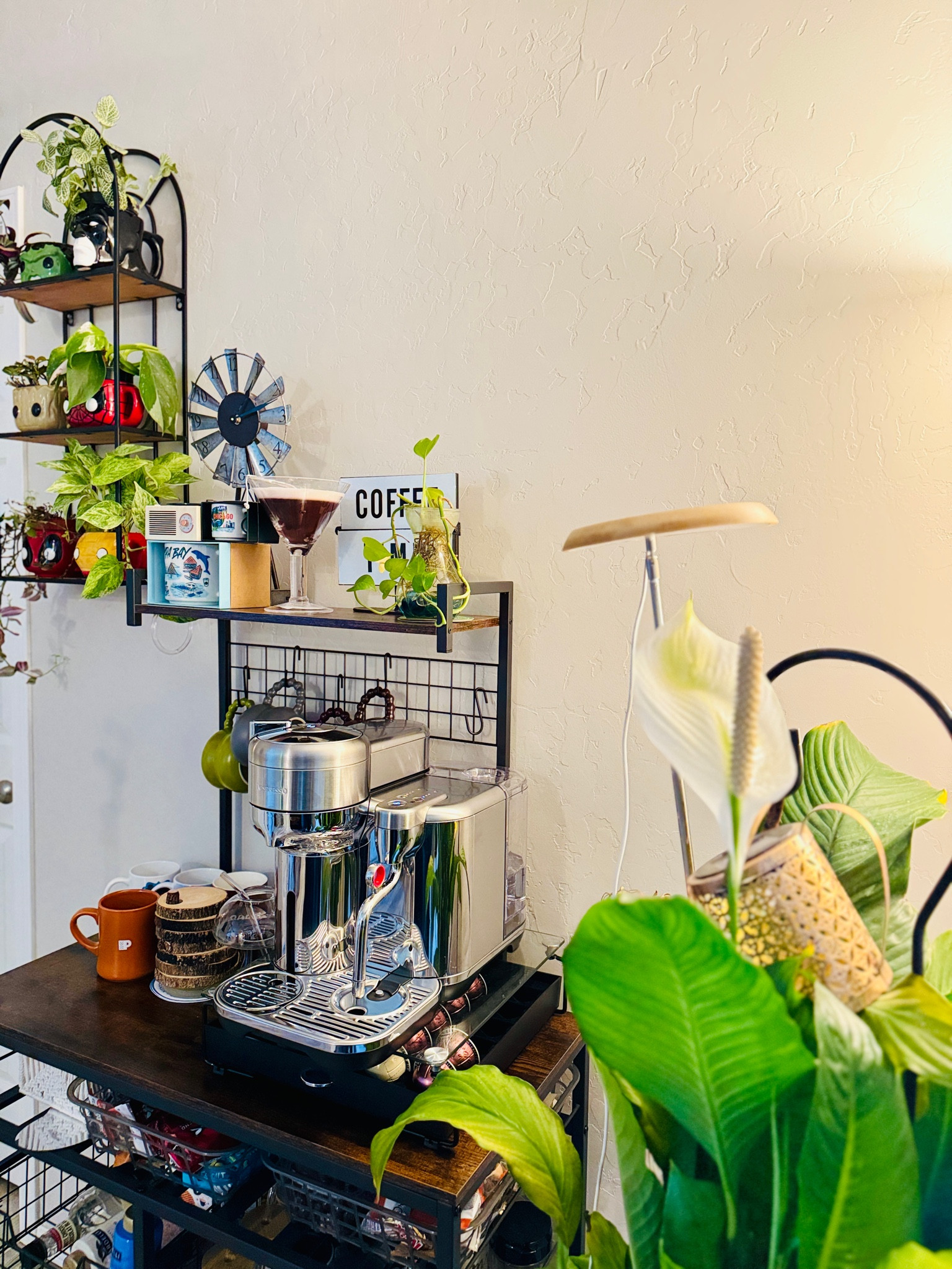 Coffee corner!

Linked- coffee table, coffee machine, plant lights, planters

#LTKSaleAlert #LTKHome #LTKFindsUnder100