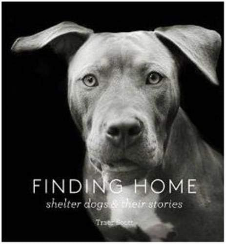 Finding A Home | Amazon (US)