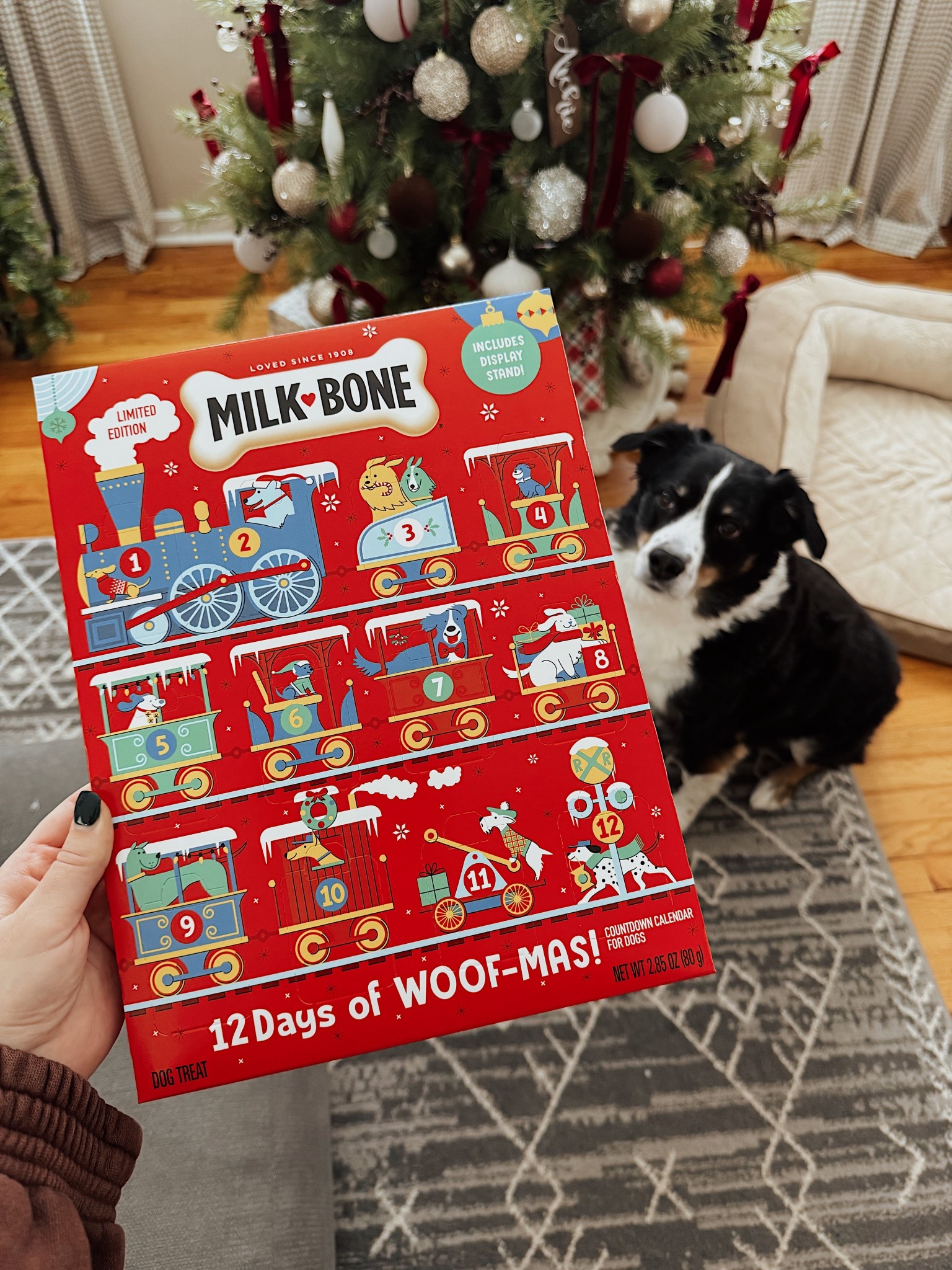 dog advent calendar 🎄 12 days of woofmas!


#LTKmomlife #LTKHoliday #LTKSeasonal