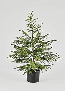 Afloral Artificial Norfolk Pine Tree - 36" | Amazon (US)