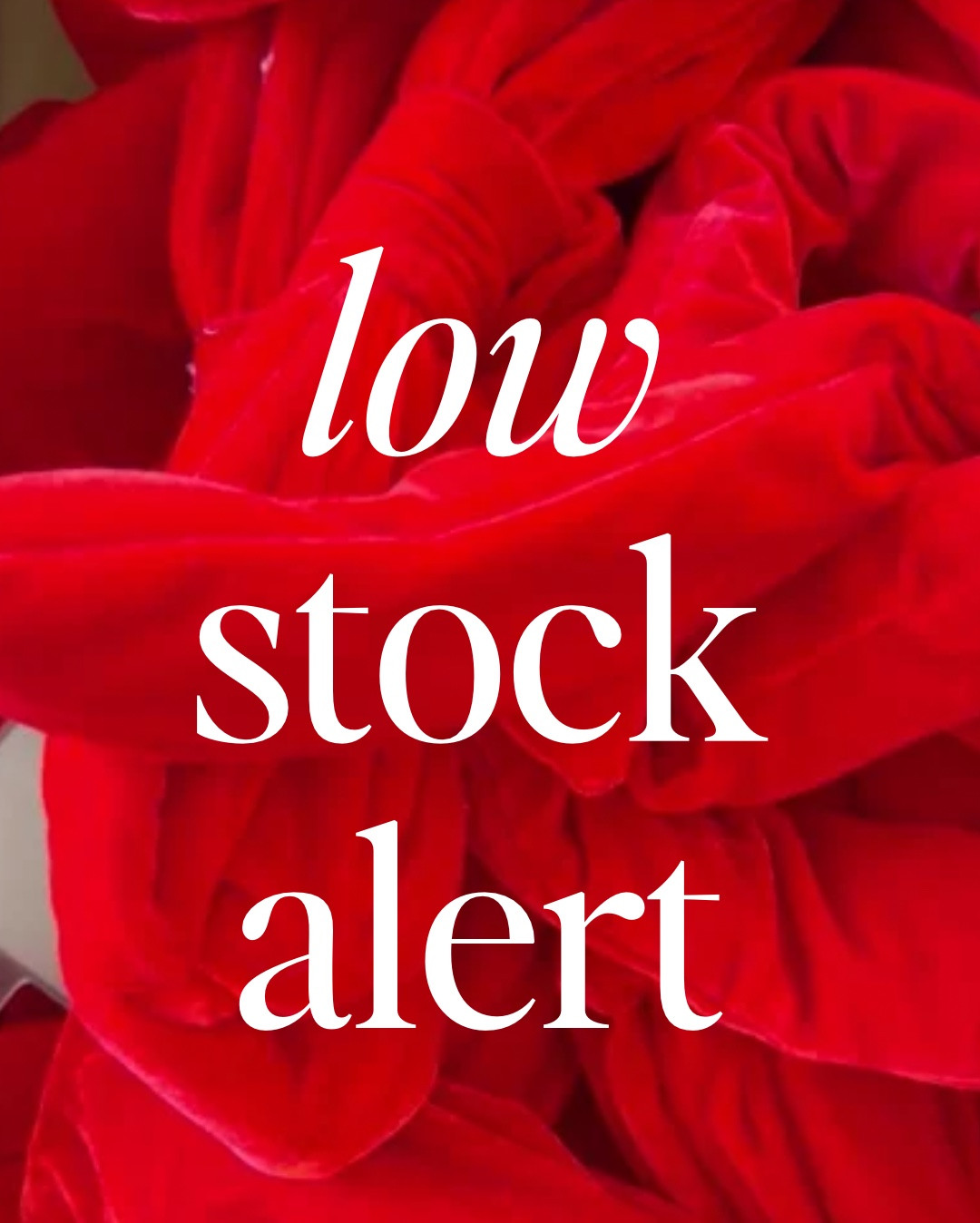 Low stock alert. The best holiday always sells out before Christmas. Order this giant velvet bow garland before it's gone! 

Holiday decor, bow decor, holiday bow, Christmas, Christmas decor

#LTKSeasonal #LTKHoliday #LTKFindsUnder50