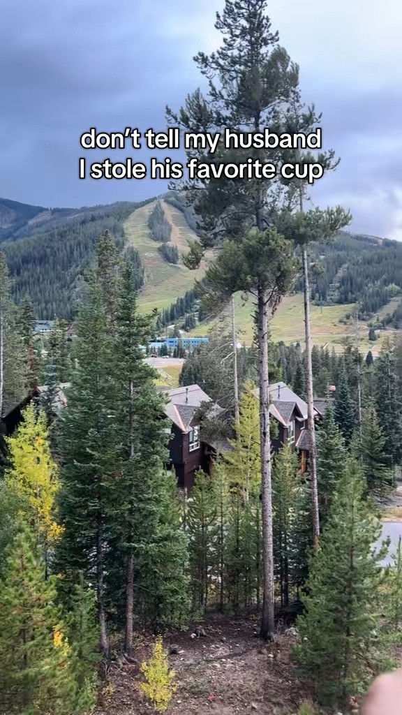 sideline essential → this nfl trek tumbler is big, insulated & officially licensed ; keeps your drink cold for tailgates or hot for those chilly night games. most teams available so you can rep your squad all season.

#nfltumbler #tailgateseason #footballfanlife #gamedayessentials #denverbroncos

#LTKGiftGuide #LTKHoliday #LTKdayinmylife