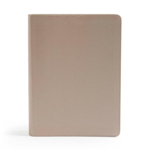 CSB She Reads Truth Bible, Champagne Gold LeatherTouch, Black Letter, Full-Color Design, Wide Mar... | Amazon (US)