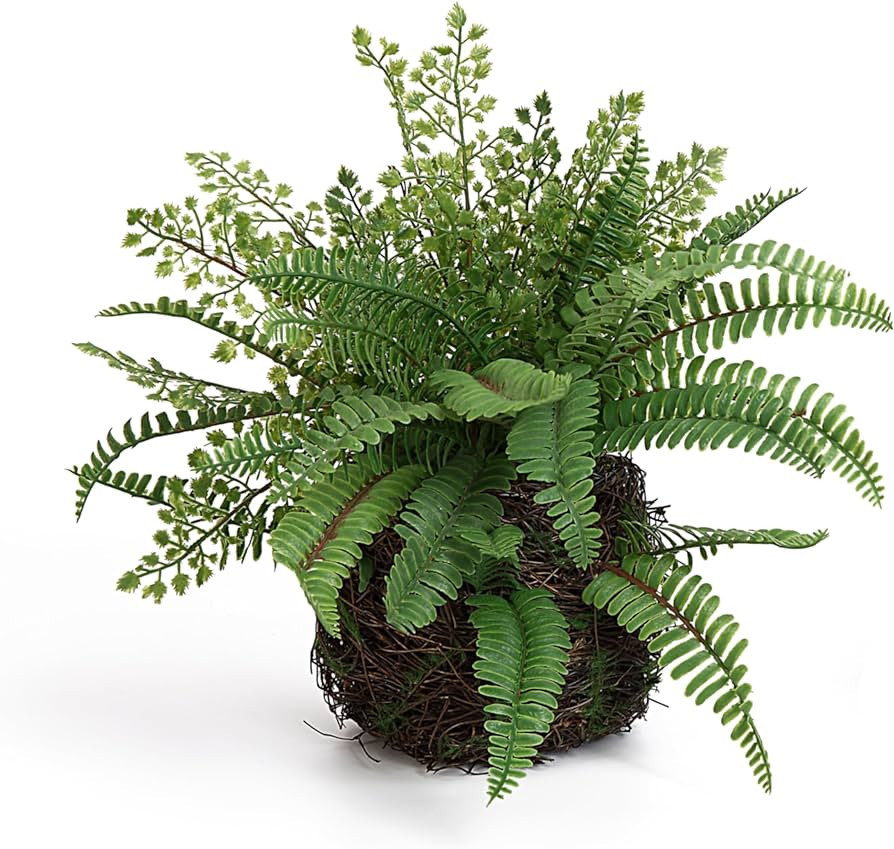 Blanca Rosana Artificial Boston Fern Plants Bushes Faux Plants Shrubs Greenery for House, Office,... | Amazon (US)