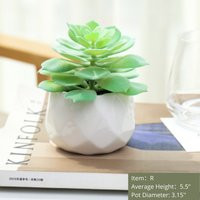 Drifwoo| Fake Succulent Plants Ceramic Rock Pot, Small Decorative Plants, Artificial Succulents/Cact | Etsy (US)