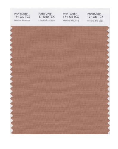 PANTONE Smart 17-1230X Color Swatch Card, Mocha Mousse | Amazon (US)