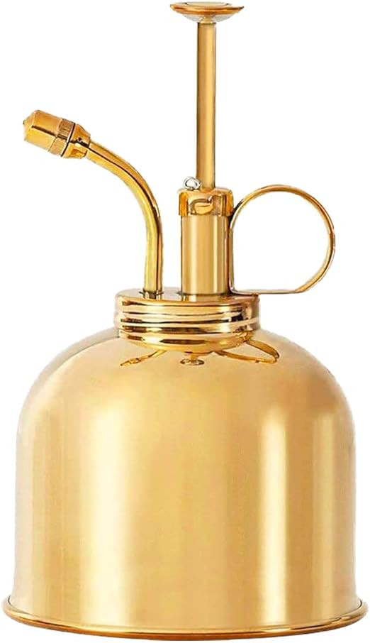 BRASS PLANT MISTER: Indoor Plant Mister, Terrarium Mister, Orchid Spritzer, Succulent Mister, Nic... | Amazon (US)