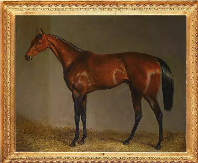 Canvas oil painting original painter signature high quality animal horse | eBay US